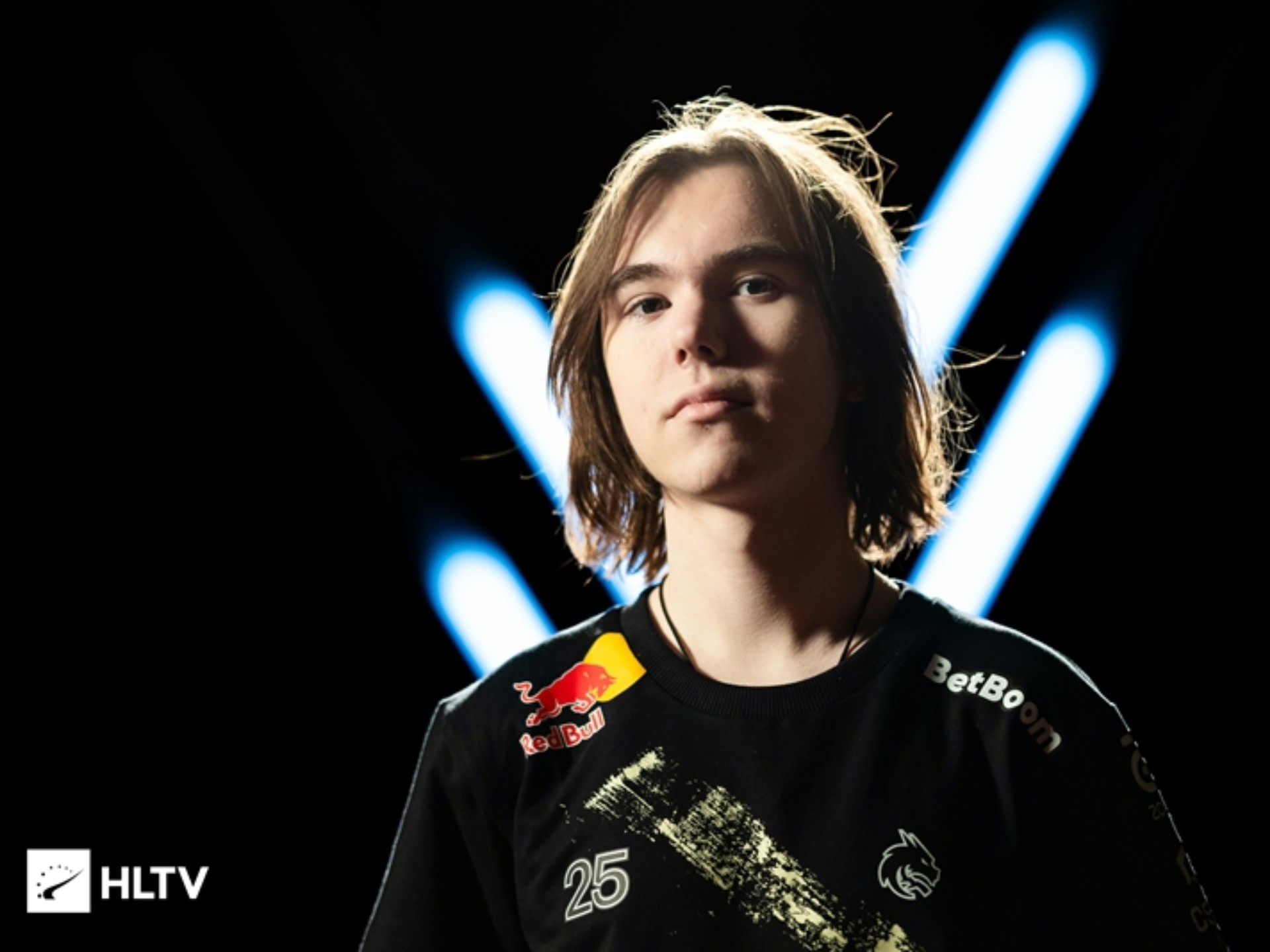 结论性提醒 结论性提醒